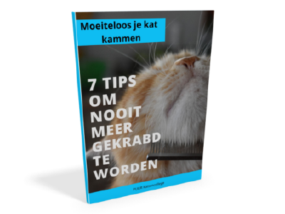 7 tips om nooit meer gekrabd te worden door je kat