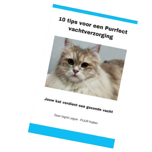 E-Book 10 tips Voor Een Purrfect Vachtverzorging e-book purrfect vachtverzorging