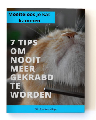E-book 7 tips om je kat moeiteloos te kammen 7 tips om nooit meer gekrabd te worden