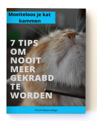 Ebook moeiteloos je kat kammen