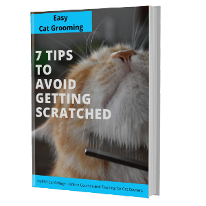 Ebook Easy Cat Grooming - 7 tips to avoid getting scratched 7 Tips to Avoid Getting Scratched