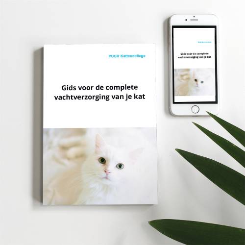 Gids voor de complete vachtverzorging van je kat