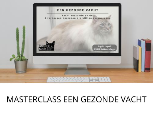 Masterclass Een gezonde vacht: Vacht anatomie en de 5 verborgen oorzaken die klitten veroorzaken