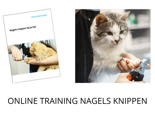 online training nagels knippen bij je kat