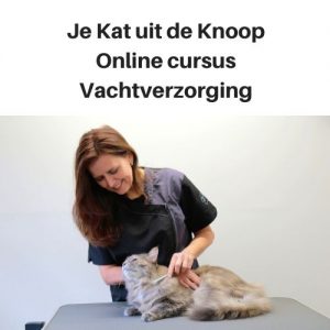 Online cursus vachtverzorging