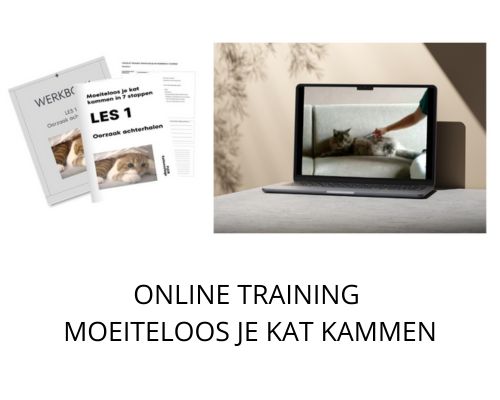 Trainingsvideo Ontdel ge geheimen van kattencommunicatie