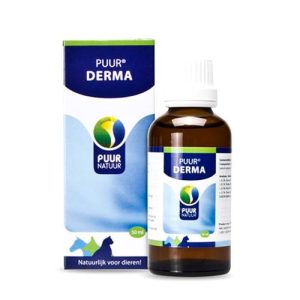 Derma jeukstillend