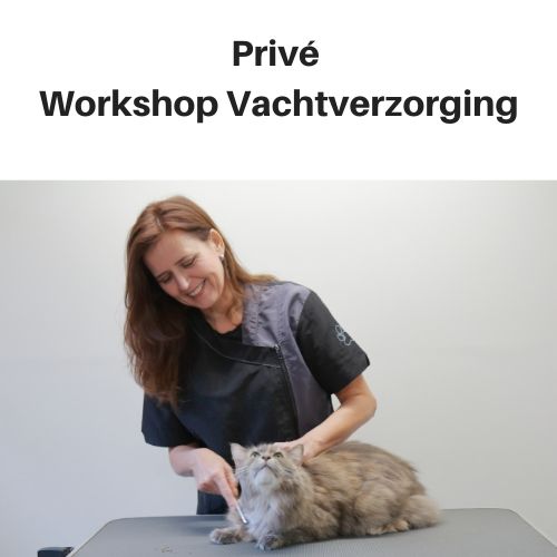 Prive Workshop Vachtverzorging