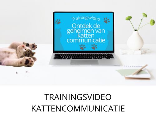 Ontdek de geheimen van kattencommunicatie
