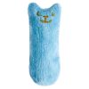 catnip kattenspeeltje
