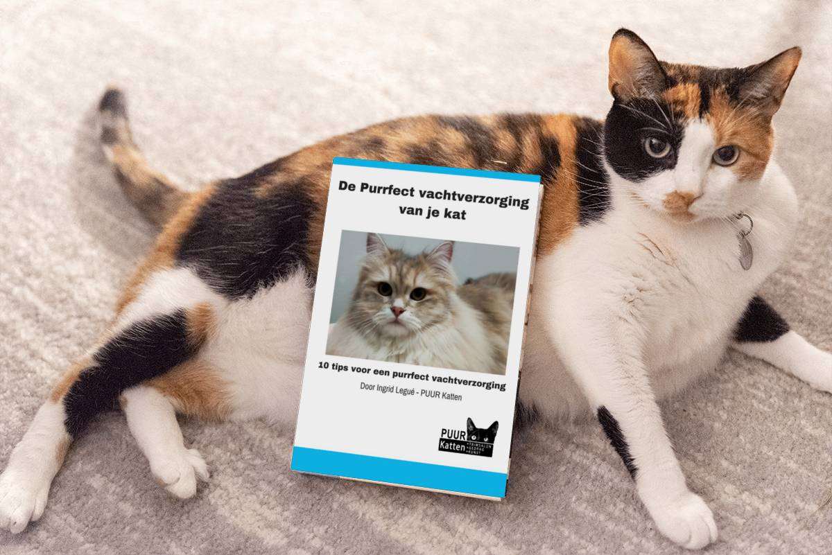 e-book purrfect vachtverzorging