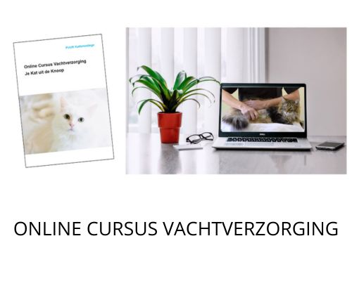 Online cursus Vachtverzorging Je Kat uit de Knoop